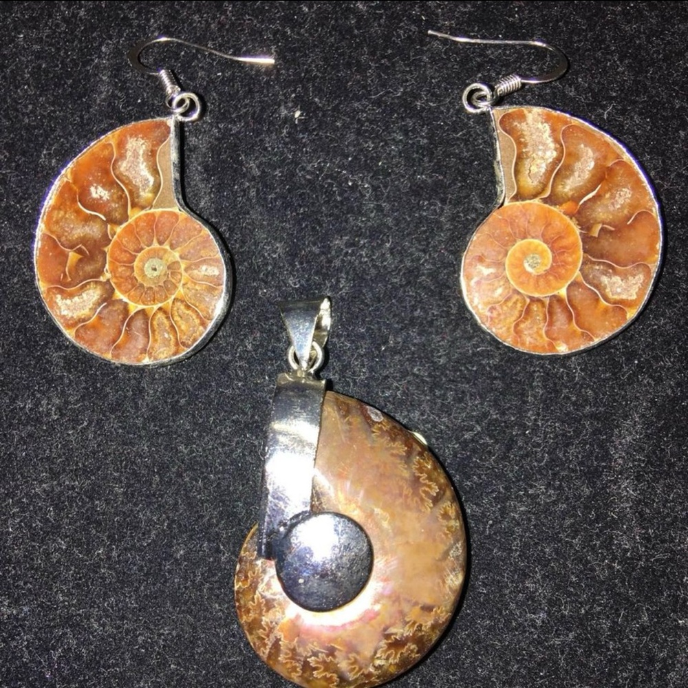 Earrings and pendant set spiral natural ammonite shell fossil
